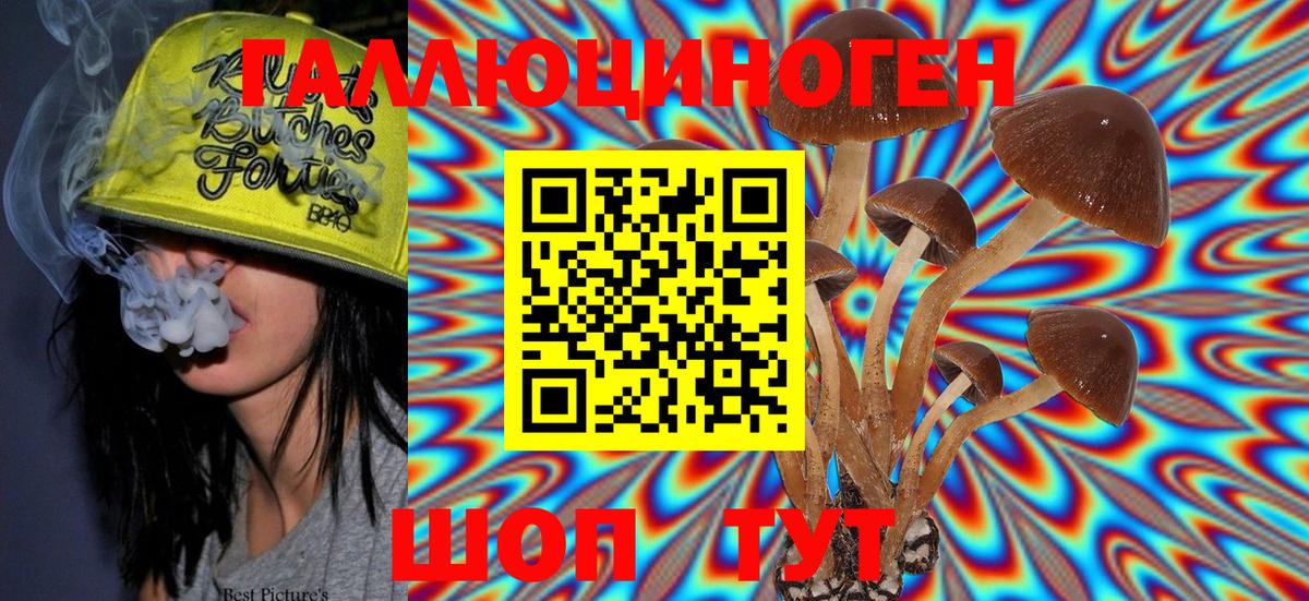 Псилоцибиновые грибы Cubensis Добрянка